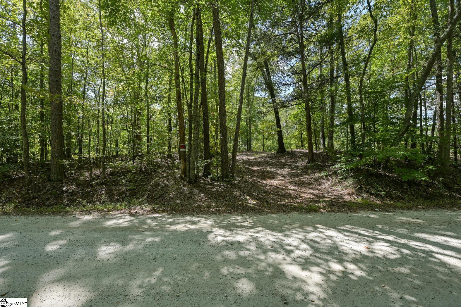 0 Putman Road Gray Court, SC 29645 - Photo 2 of 9