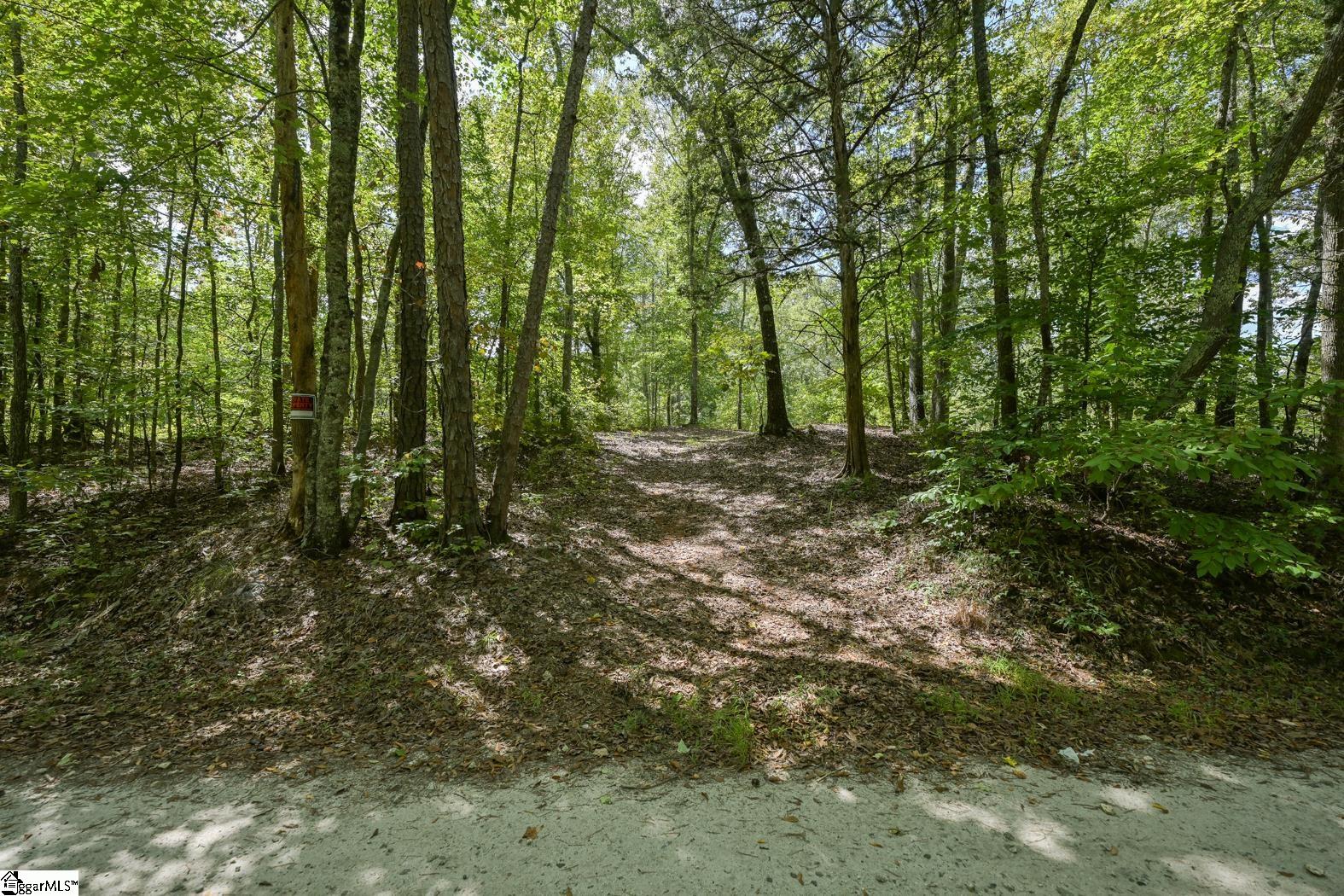 0 Putman Road Gray Court, SC 29645 - Photo 3 of 9