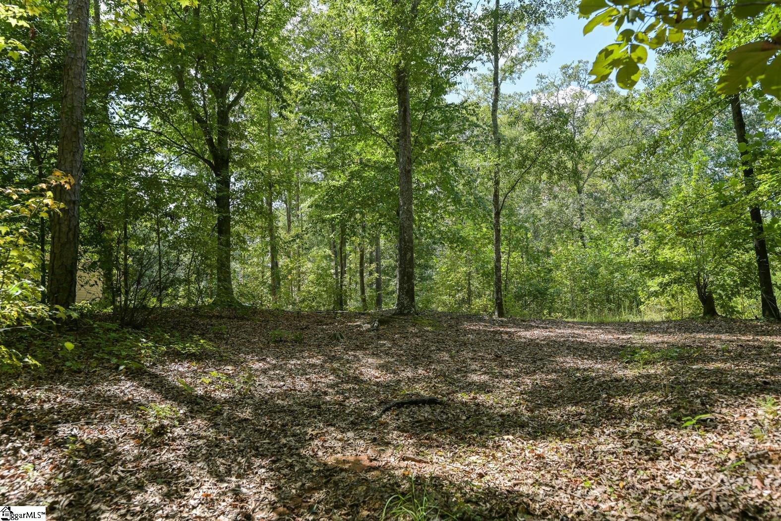 0 Putman Road Gray Court, SC 29645 - Photo 4 of 9