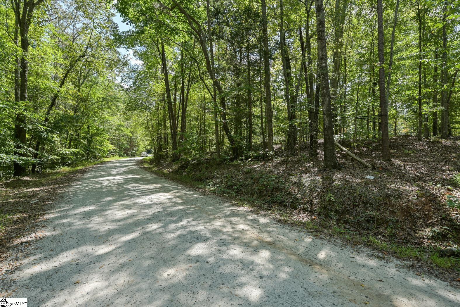 0 Putman Road Gray Court, SC 29645 - Photo 5 of 9