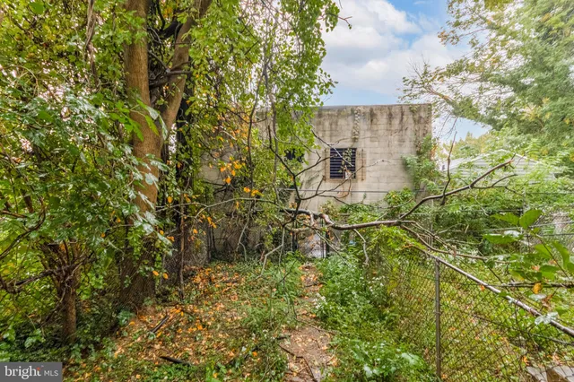 a view of plants and trees