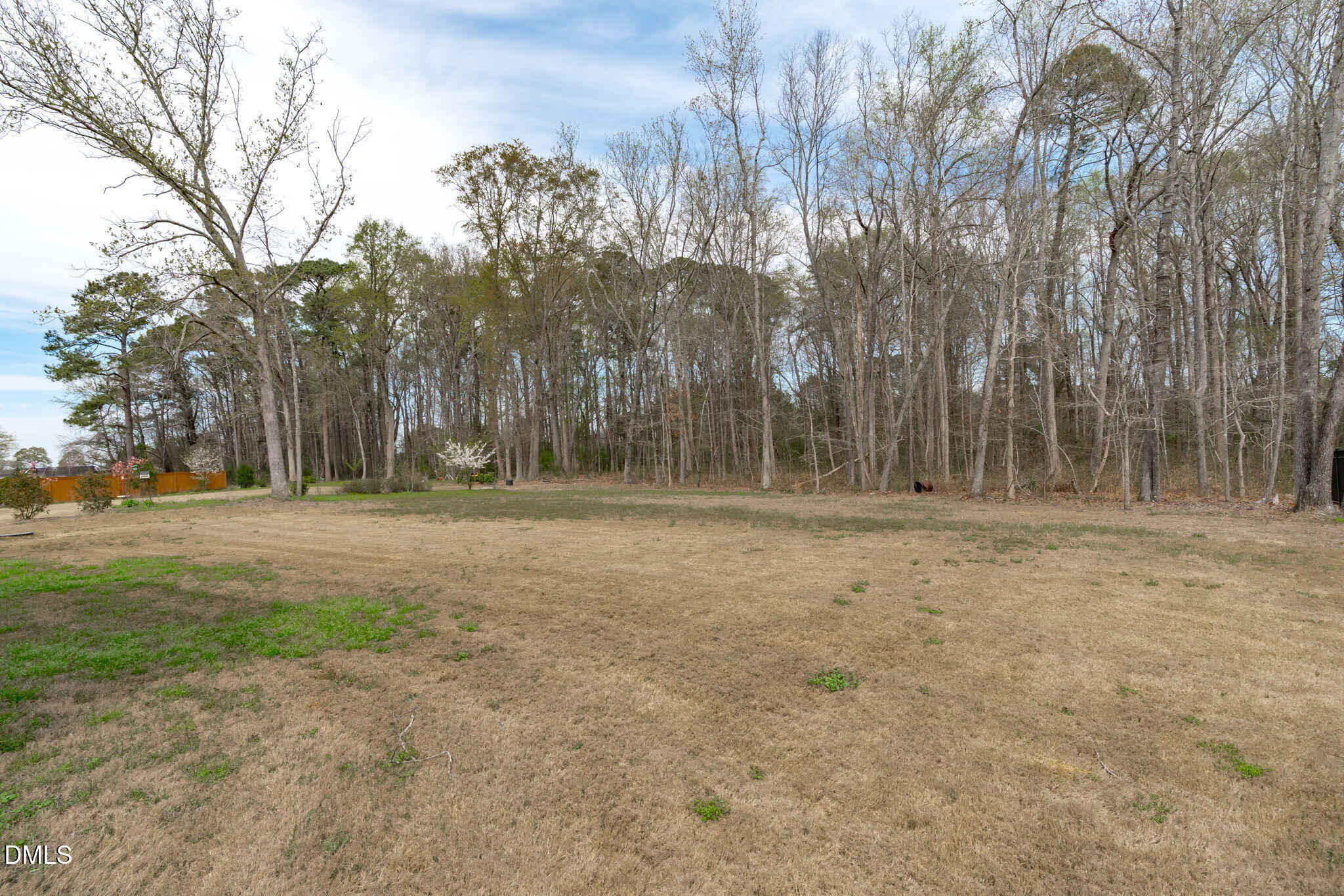7033 Leando Drive Willow Spring, NC 27592 - Photo 38 of 43 Backyard