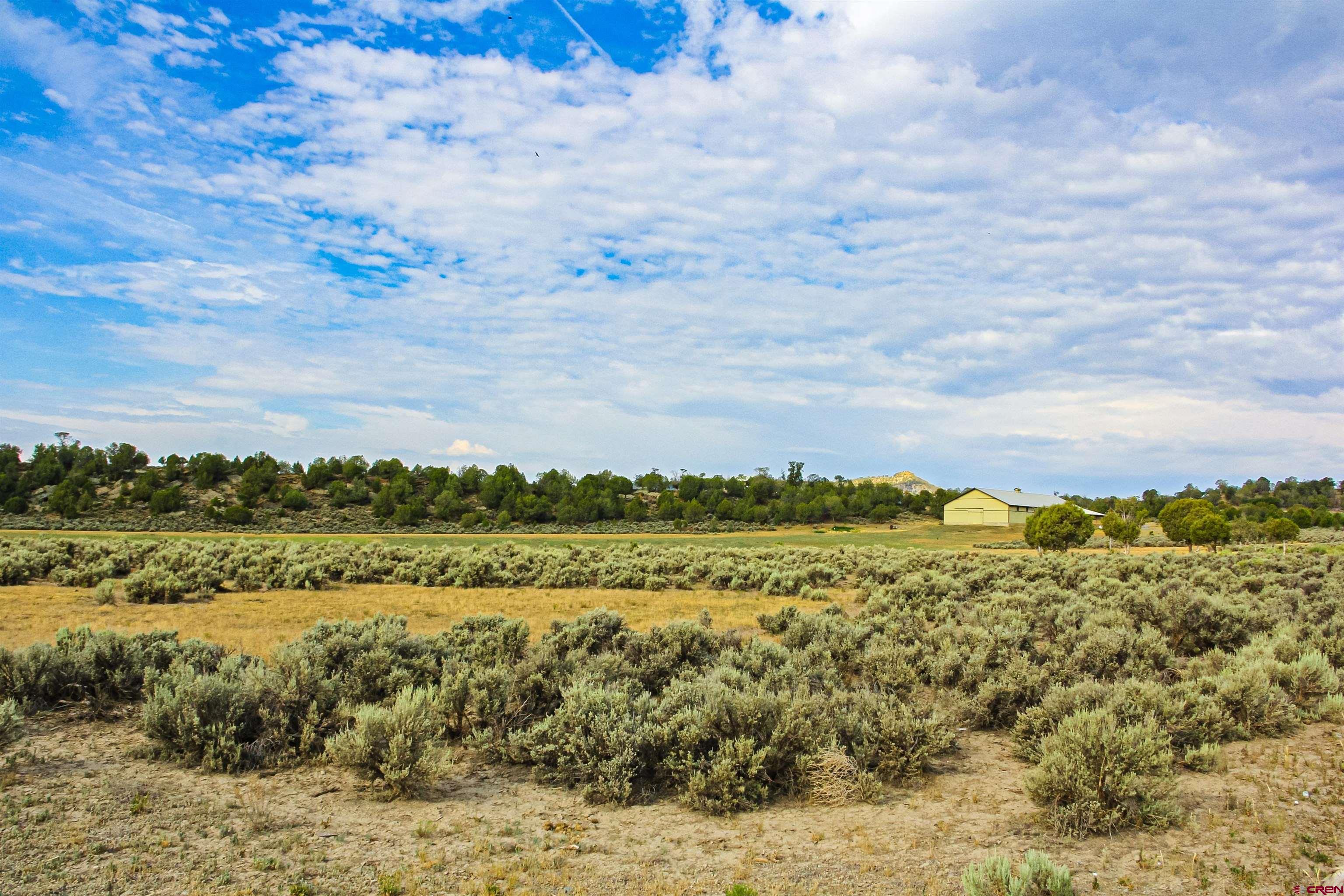 320 County Road 329 Ignacio, CO 81137 - Photo 4 of 45