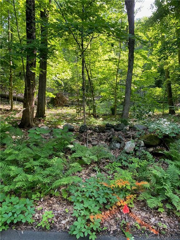 15 Alberts Hill Road Newtown, CT 06482 - Photo 1 of 1 Gallery Image 1
