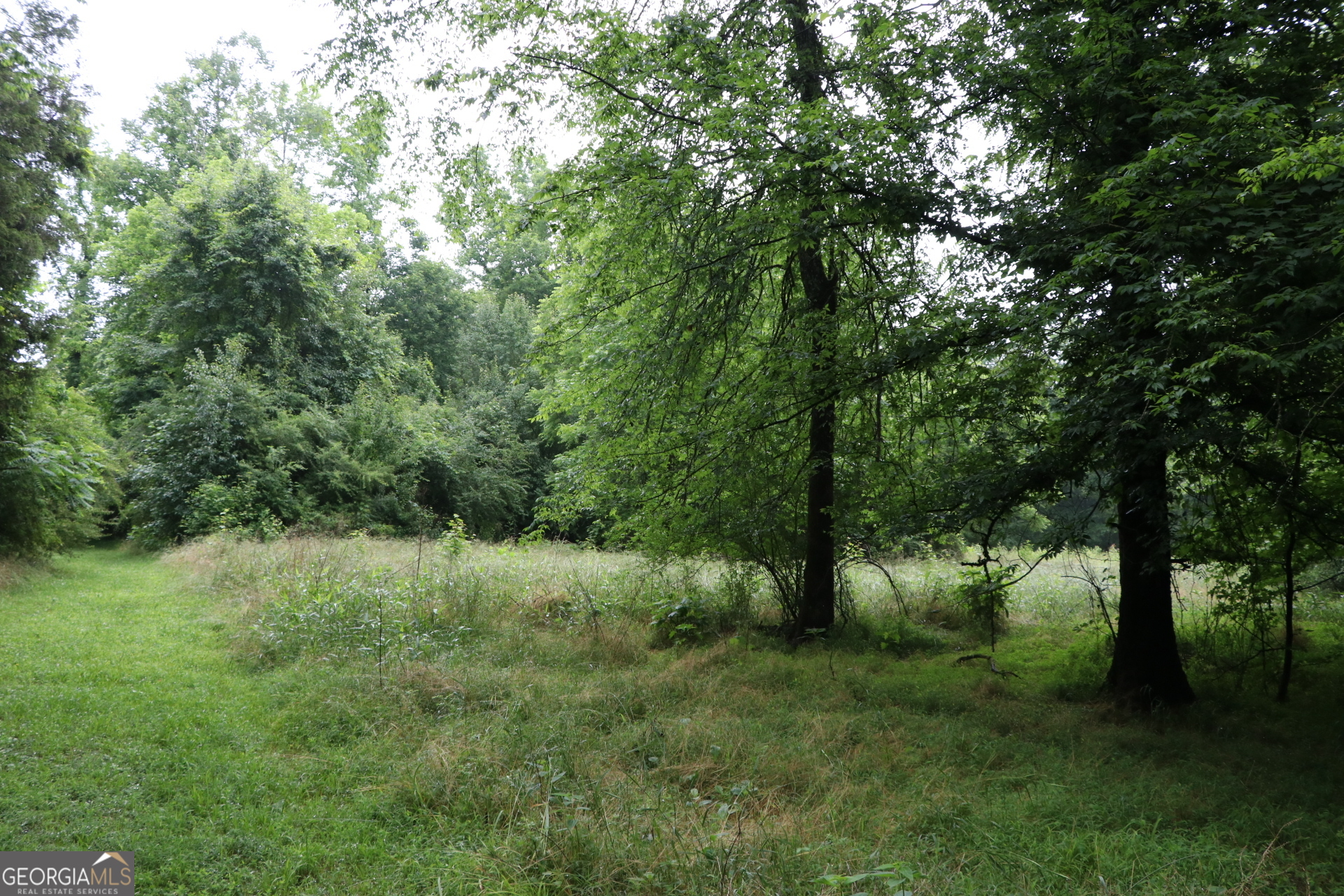 833 Neal Gap Road Summerville, GA 30747 - Photo 32 of 86