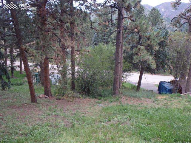 9345 Ute Road Cascade, CO 80809 - Photo 7 of 12