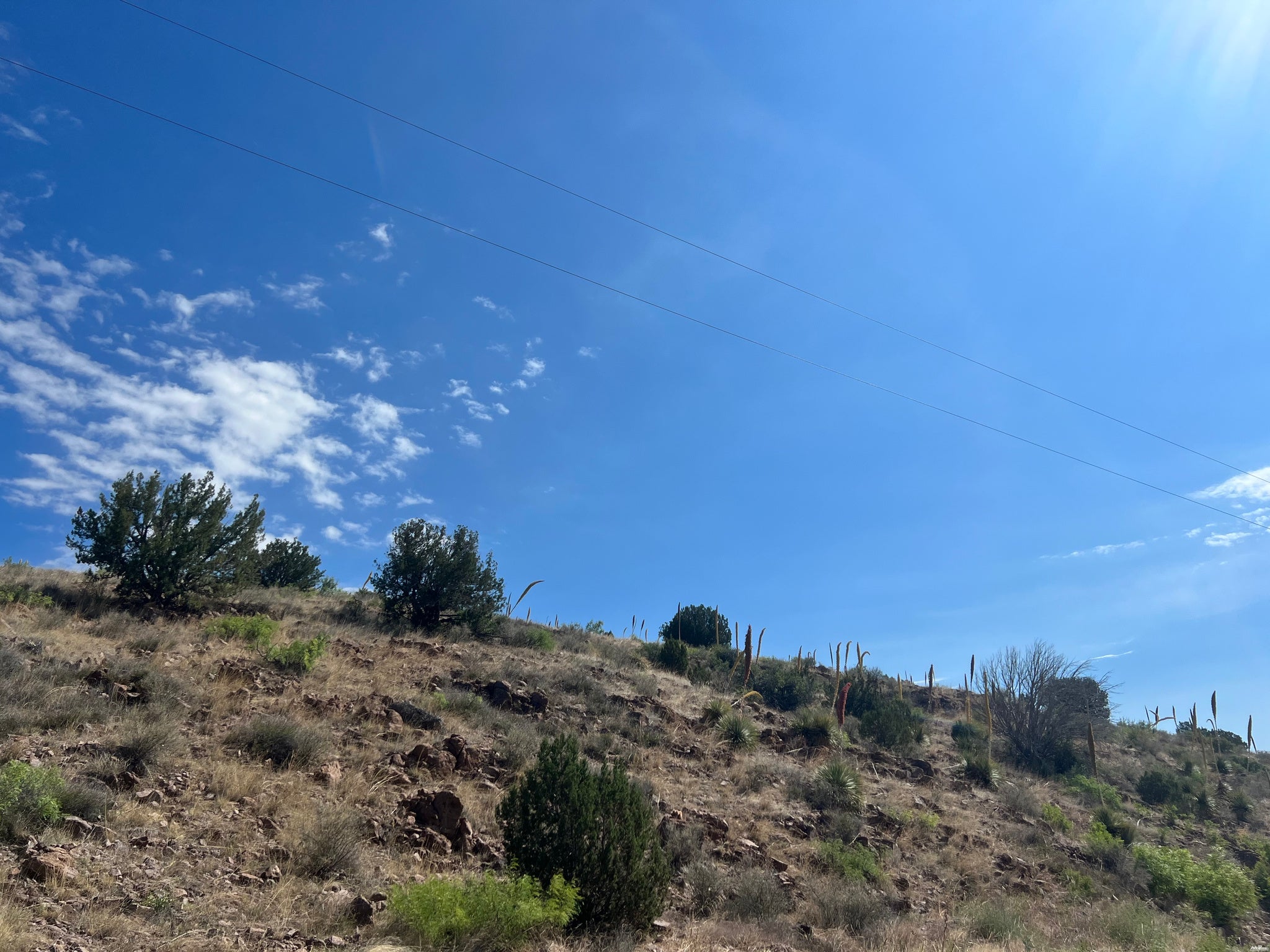 81 Berrenda Road Hillsboro, NM 88042 - Photo 27 of 52 Gallery Image 27