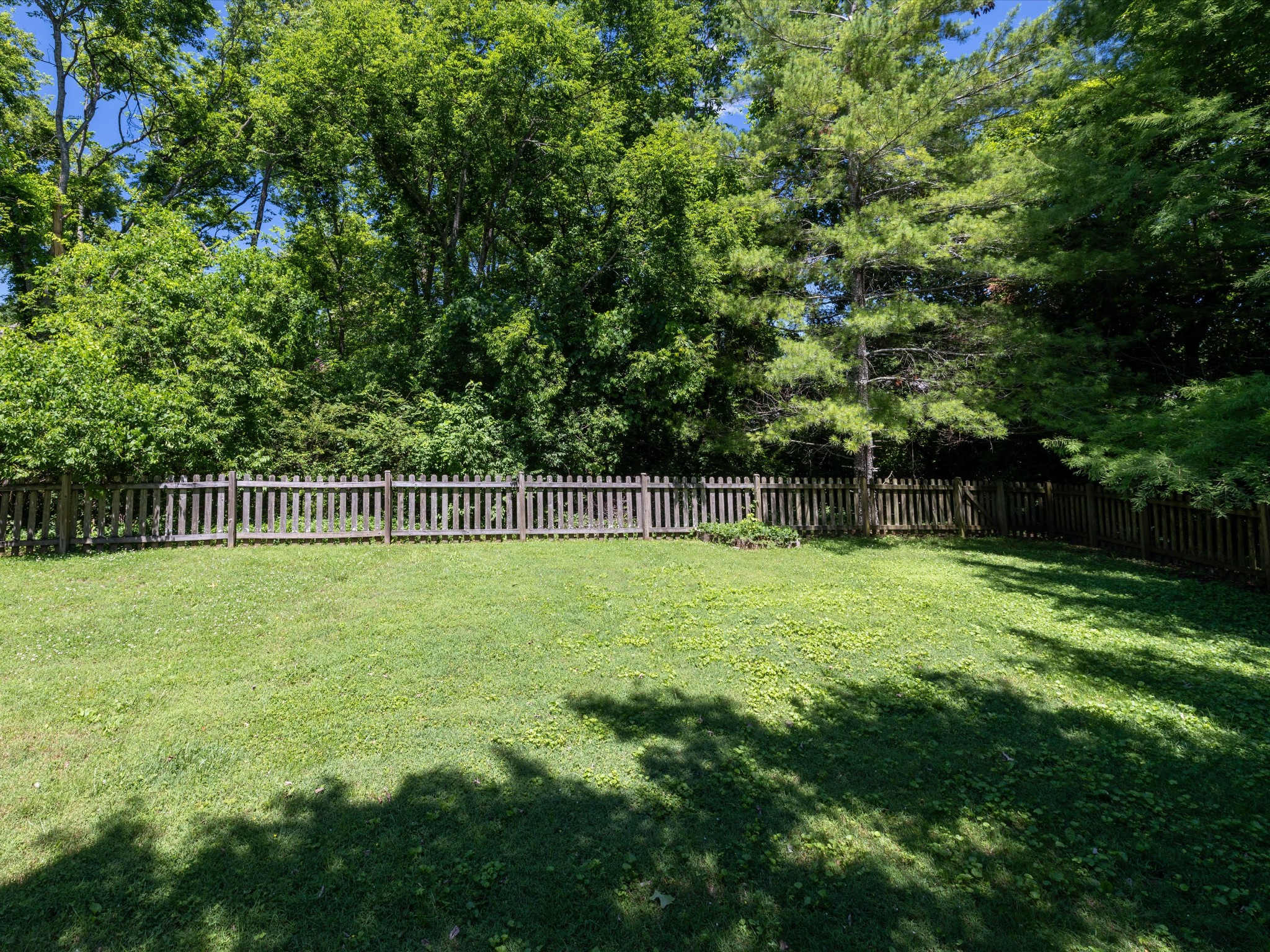 4629 Sandy Creek Road Nashville, TN 37221 - Photo 39 of 48 a view of a garden