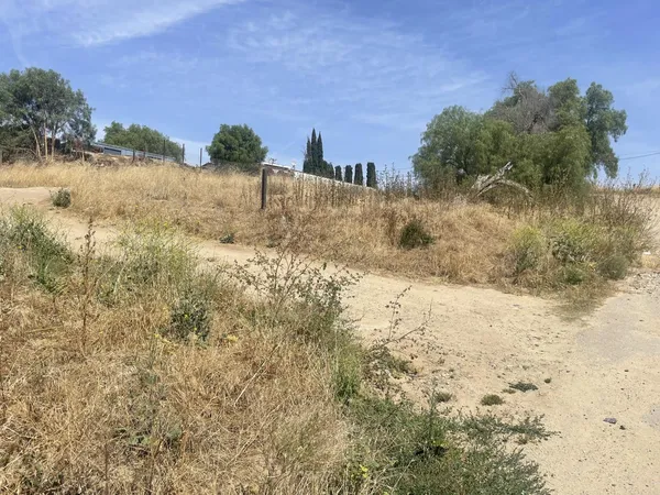 a view of a yard along with trees