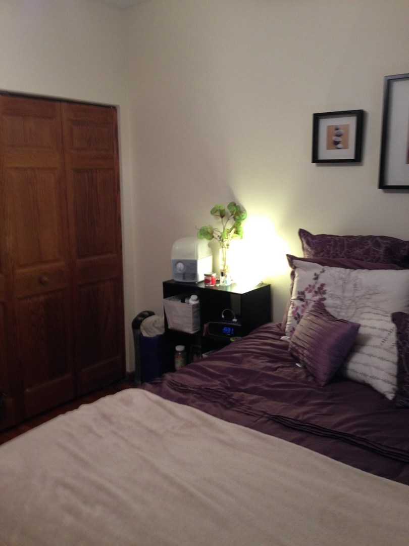 535 West Brompton Avenue, Unit 2S Chicago, IL 60657 - Photo 7 of 9