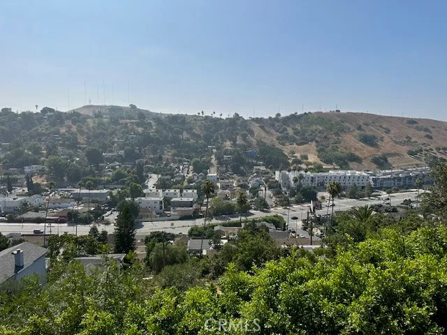 a view of a yard with plants and trees