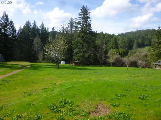 4215 Mt Reuben Road Glendale, OR 97442 - Photo 31 of 46 Greenhouse