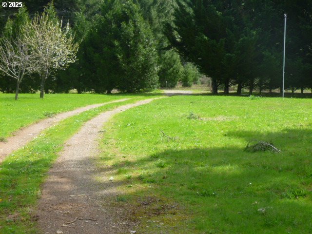 4215 Mt Reuben Road Glendale, OR 97442 - Photo 42 of 46