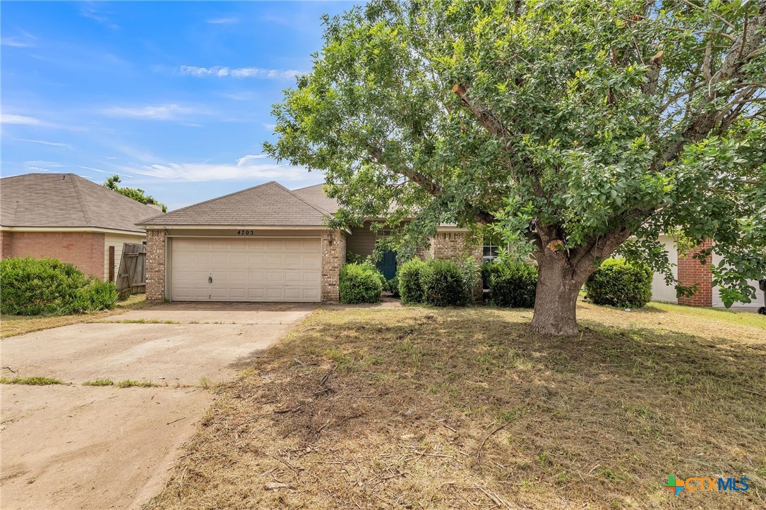 4705 High Pointe Drive Temple, TX 76502 - Photo 1 of 1 a house with a tree in front of it