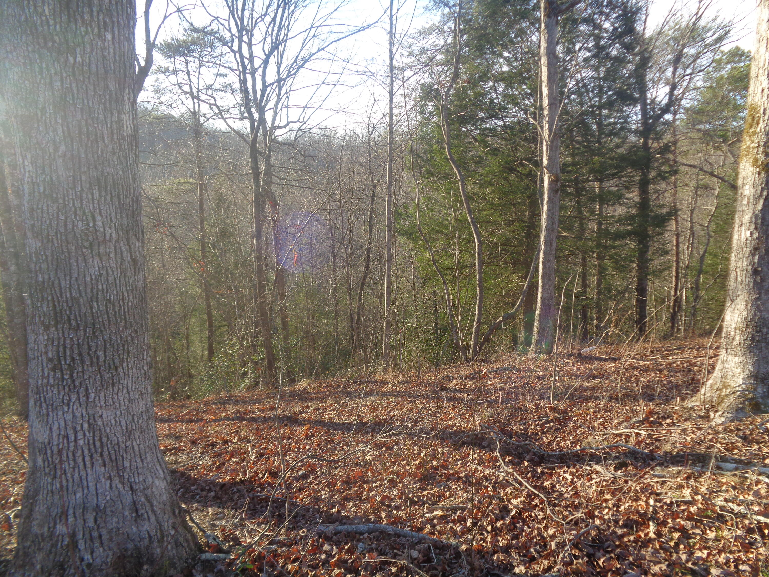Lot 6 Fount Hubbard Road London, KY 40741 - Photo 5 of 24 DSC07446