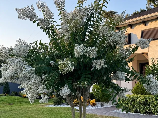 $744,500 | 14110 Tomentosa Avenue, Riverview, FL 33569