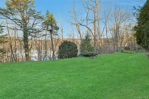 a view of a field of grass and trees