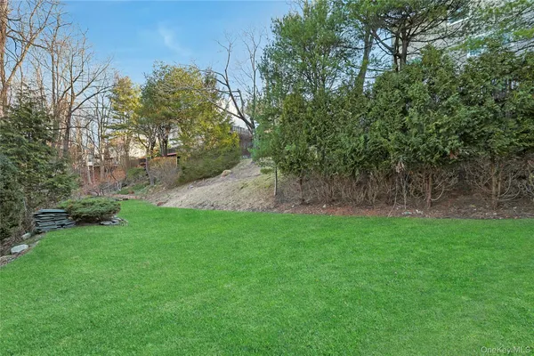 a view of a backyard with large trees