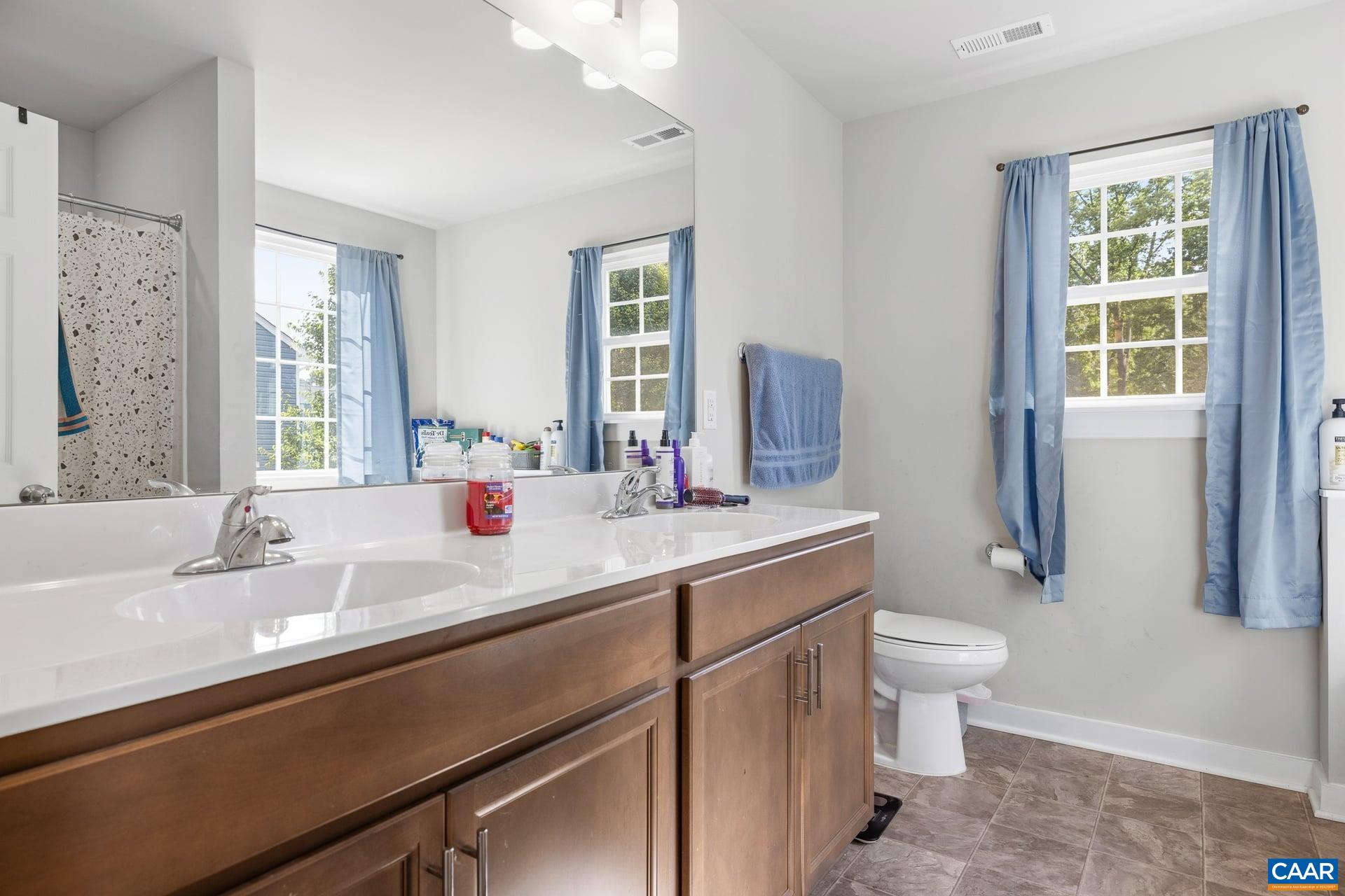 1202 Matthew Mill Road Ruckersville, VA 22968 - Photo 15 of 44 Primary Bathroom