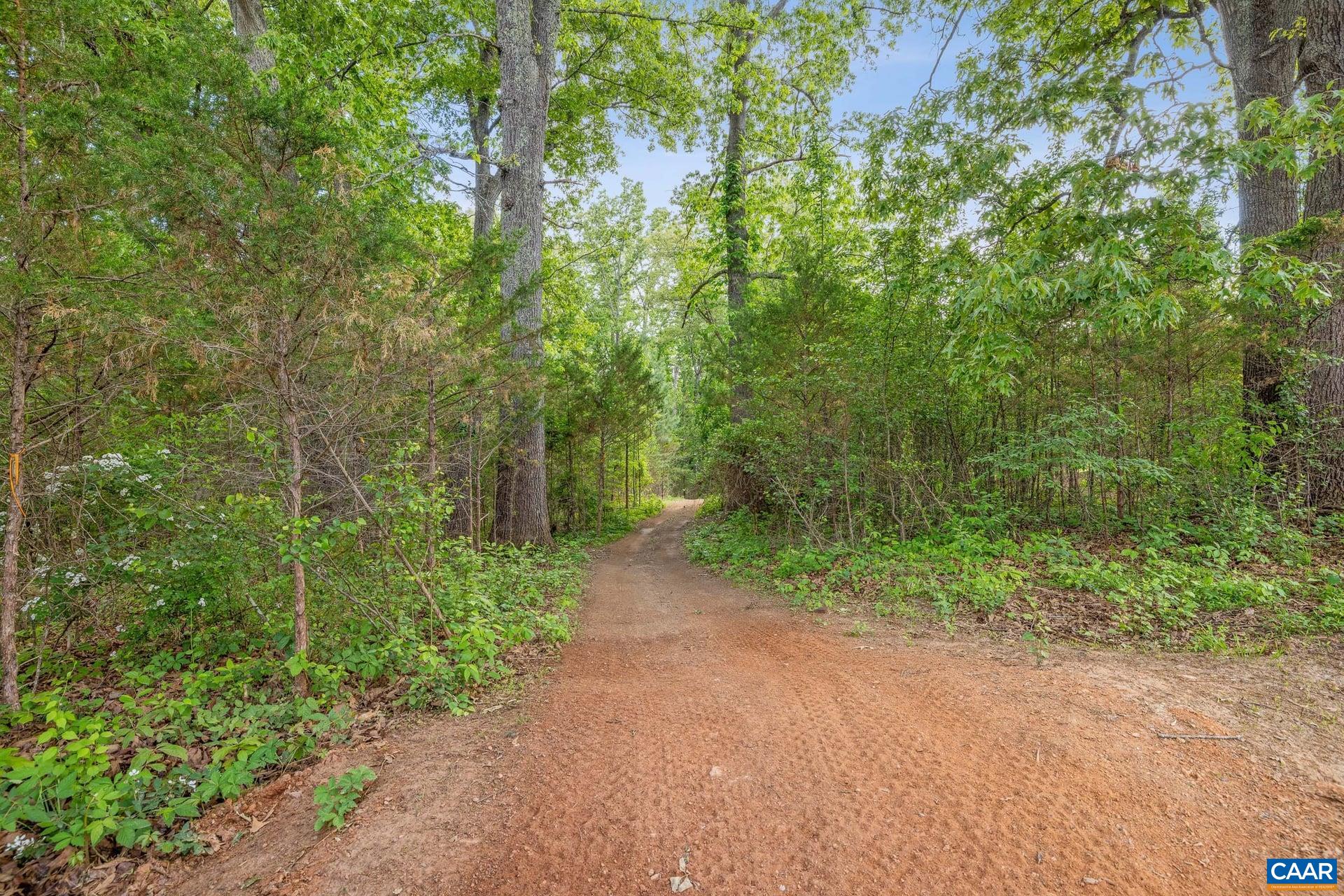 1202 Matthew Mill Road Ruckersville, VA 22968 - Photo 27 of 44 Trails In Backyard