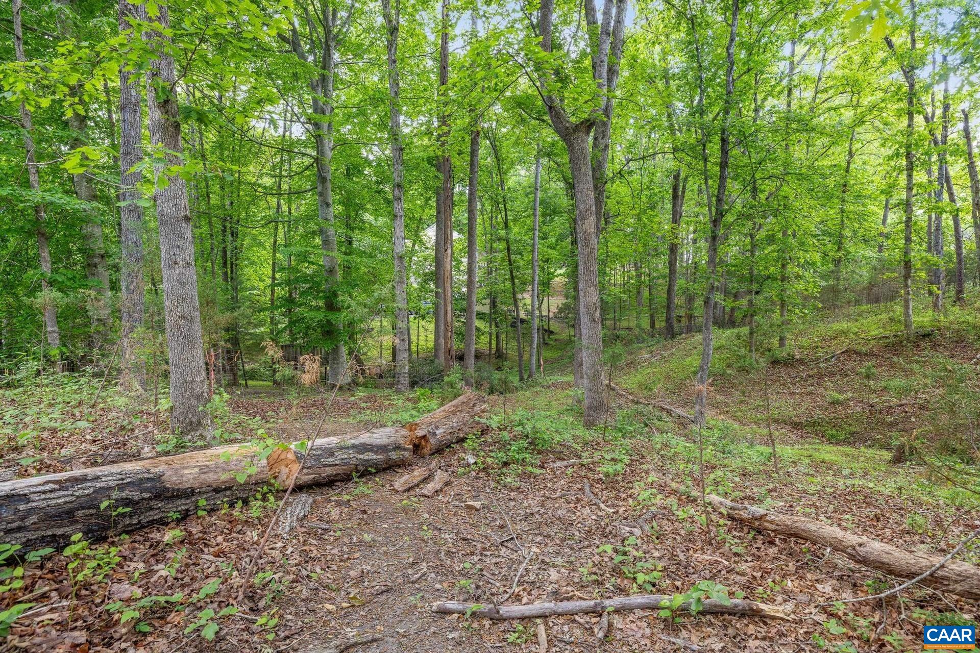 1202 Matthew Mill Road Ruckersville, VA 22968 - Photo 28 of 44