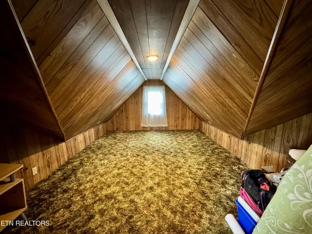 a view of a backyard with large trees