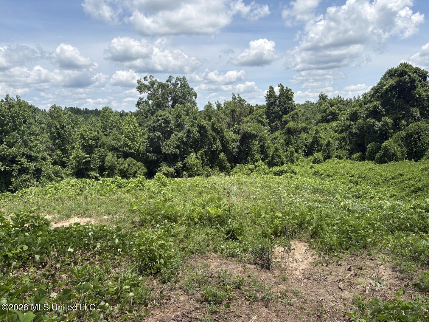 180 County Road New Albany, MS 38652 - Photo 27 of 61 Photo Jun 02 2026, 12 43 37 PM (Large)