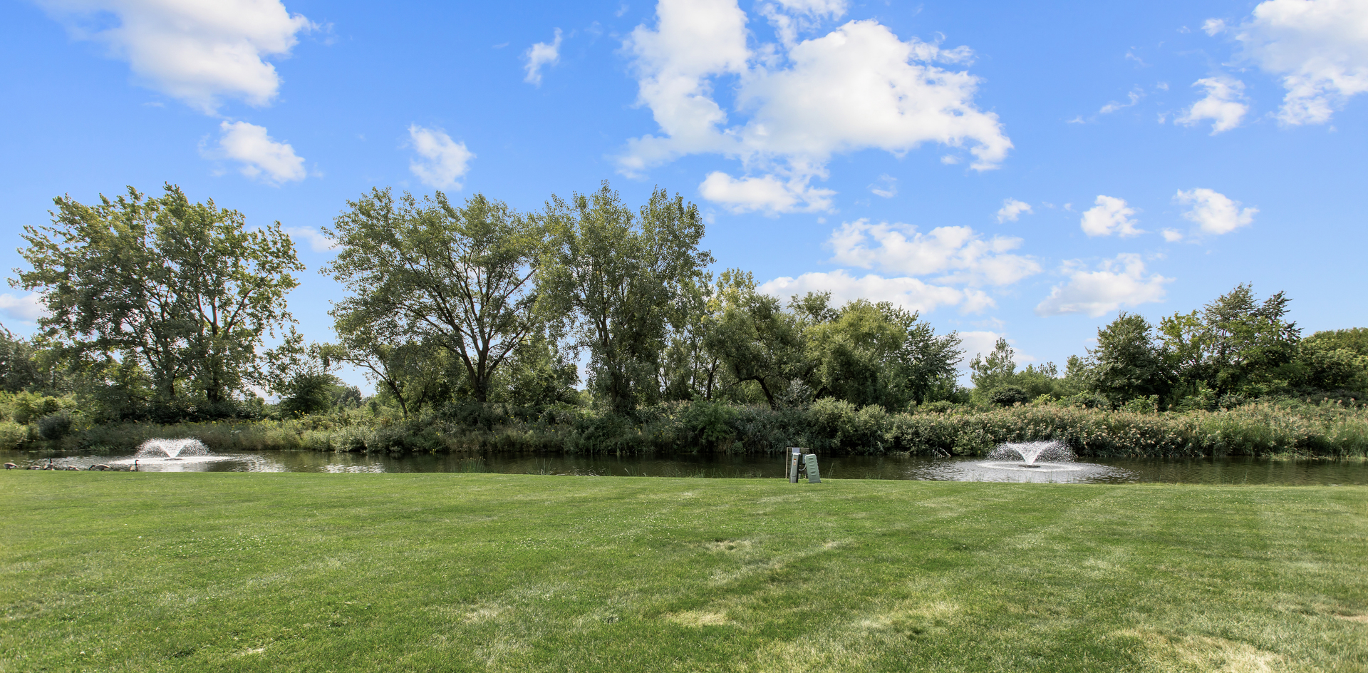 803 Sojourn Road, Unit 803 New Lenox, IL 60451 - Photo 19 of 20