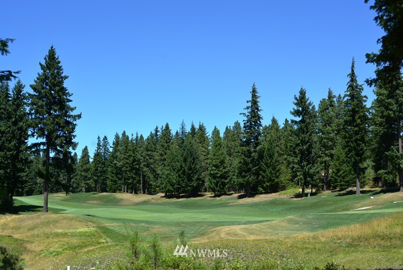 a big yard with lots of green space and trees in the background