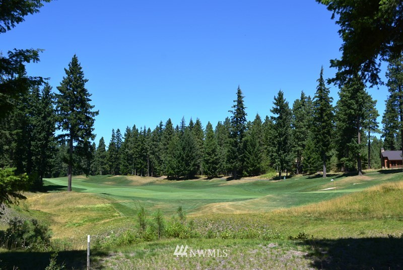 1360 Snowberry Loop Cle Elum, WA 98922 - Photo 2 of 10 a view of a golf course with a lake