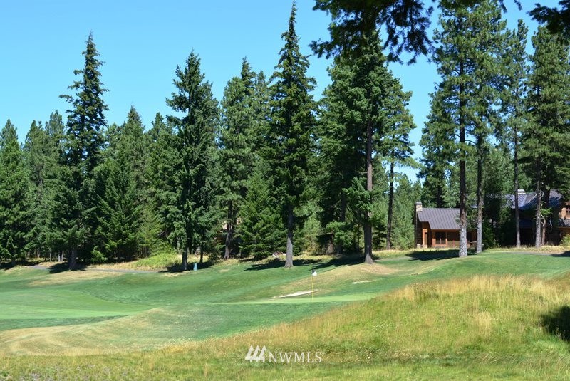 1360 Snowberry Loop Cle Elum, WA 98922 - Photo 3 of 10 a view of a park with large trees