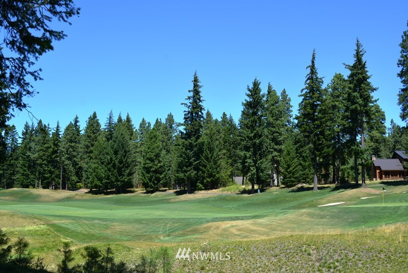1360 Snowberry Loop Cle Elum, WA 98922 - Photo 4 of 10 a view of a grassy field with trees