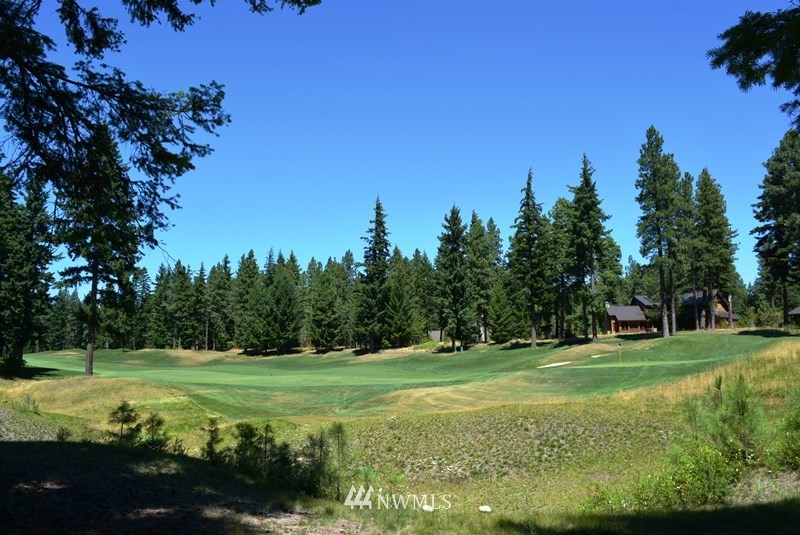 1360 Snowberry Loop Cle Elum, WA 98922 - Photo 5 of 10 a view of a golf course with a garden