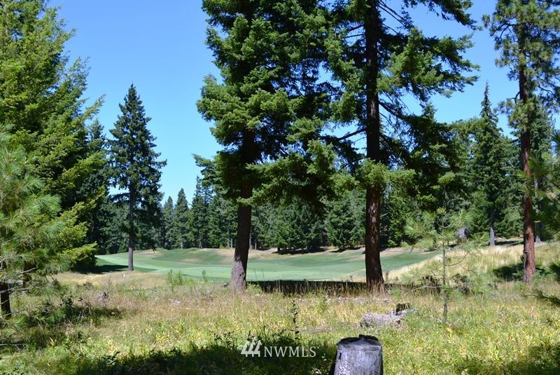 1360 Snowberry Loop Cle Elum, WA 98922 - Photo 6 of 10 a view of a garden with trees