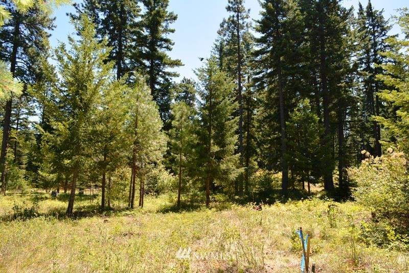 1360 Snowberry Loop Cle Elum, WA 98922 - Photo 7 of 10 a view of a yard covered with snow