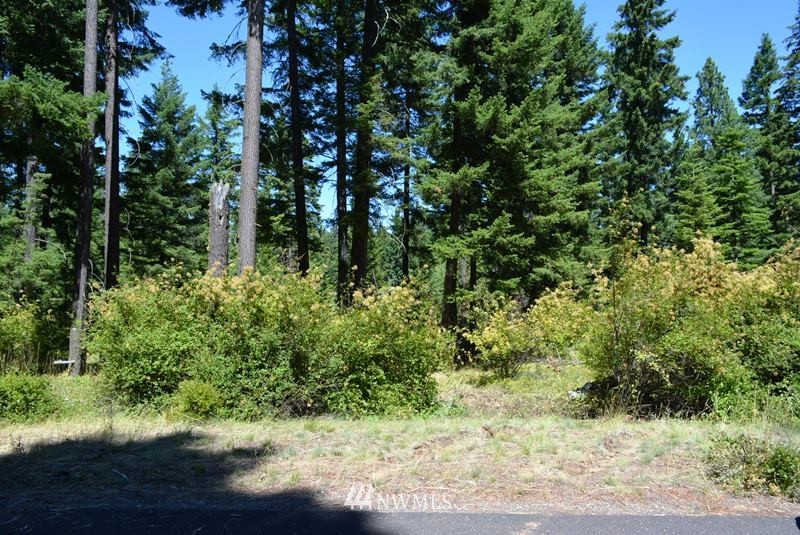 1360 Snowberry Loop Cle Elum, WA 98922 - Photo 8 of 10 a view of a yard with plants and large trees