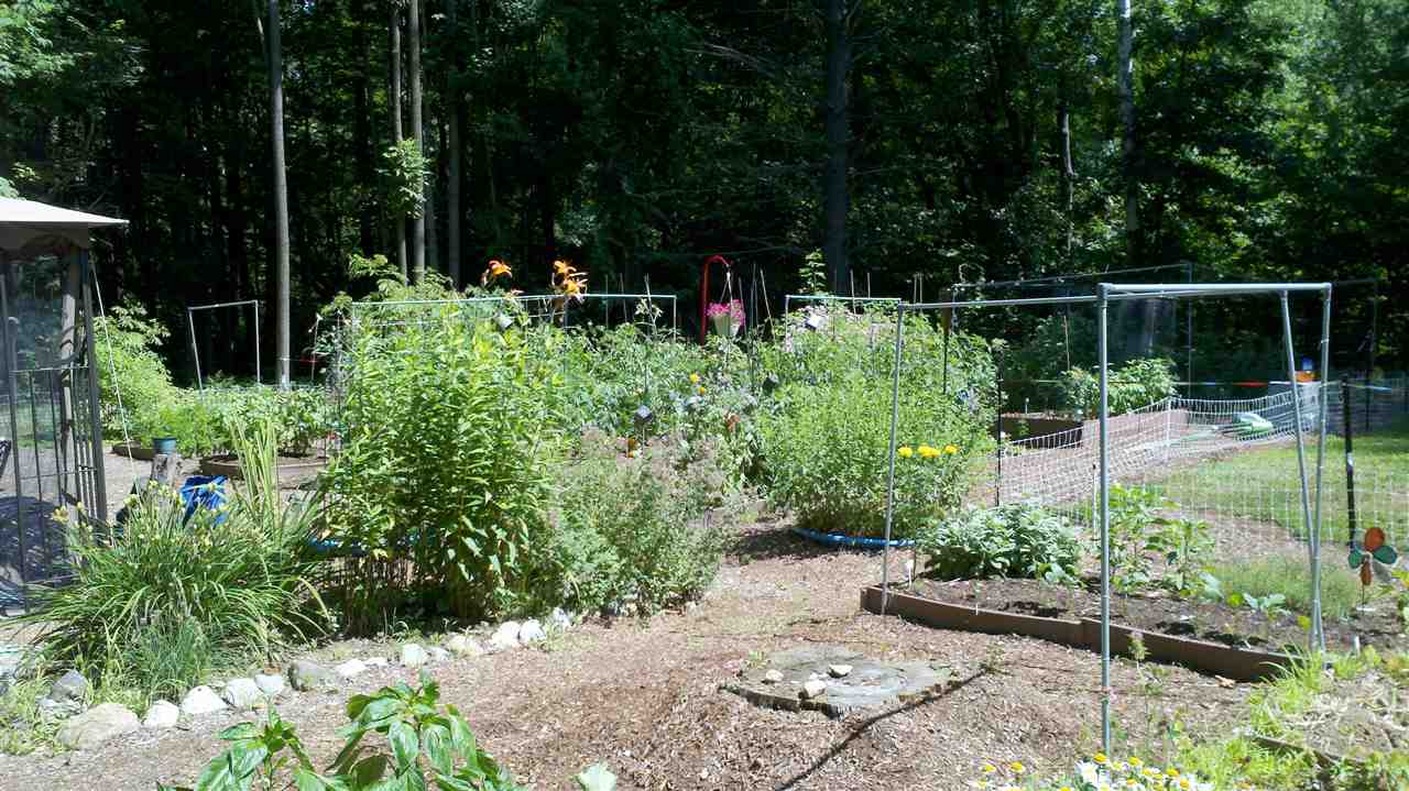2 Forest Street Derry, NH 03038 - Photo 22 of 26 Gallery Image 22