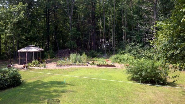 2 Forest Street Derry, NH 03038 - Photo 24 of 26 Gallery Image 24