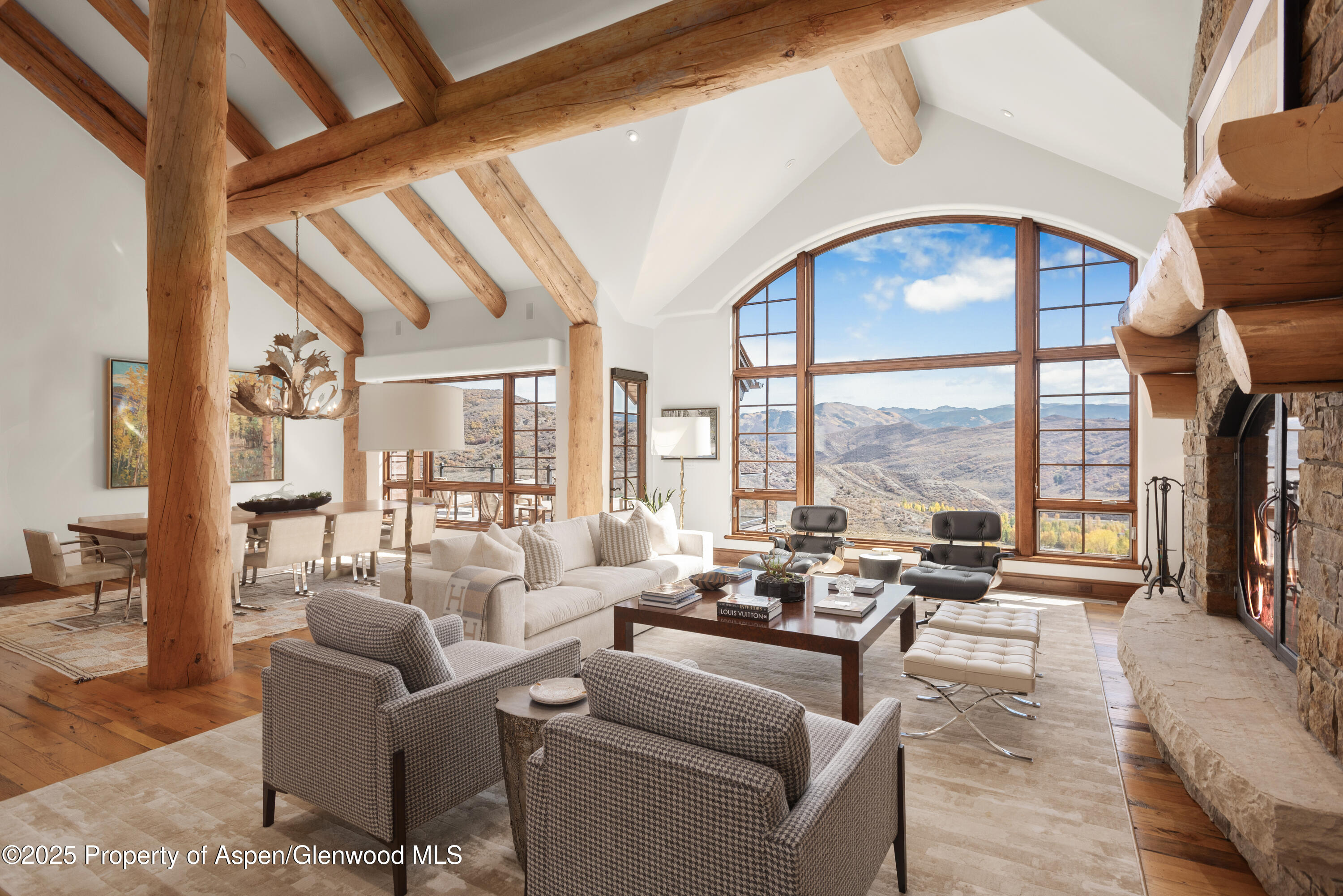 800 Oak Ridge Road Snowmass Village, CO 81615 - Photo 7 of 54 Living Room