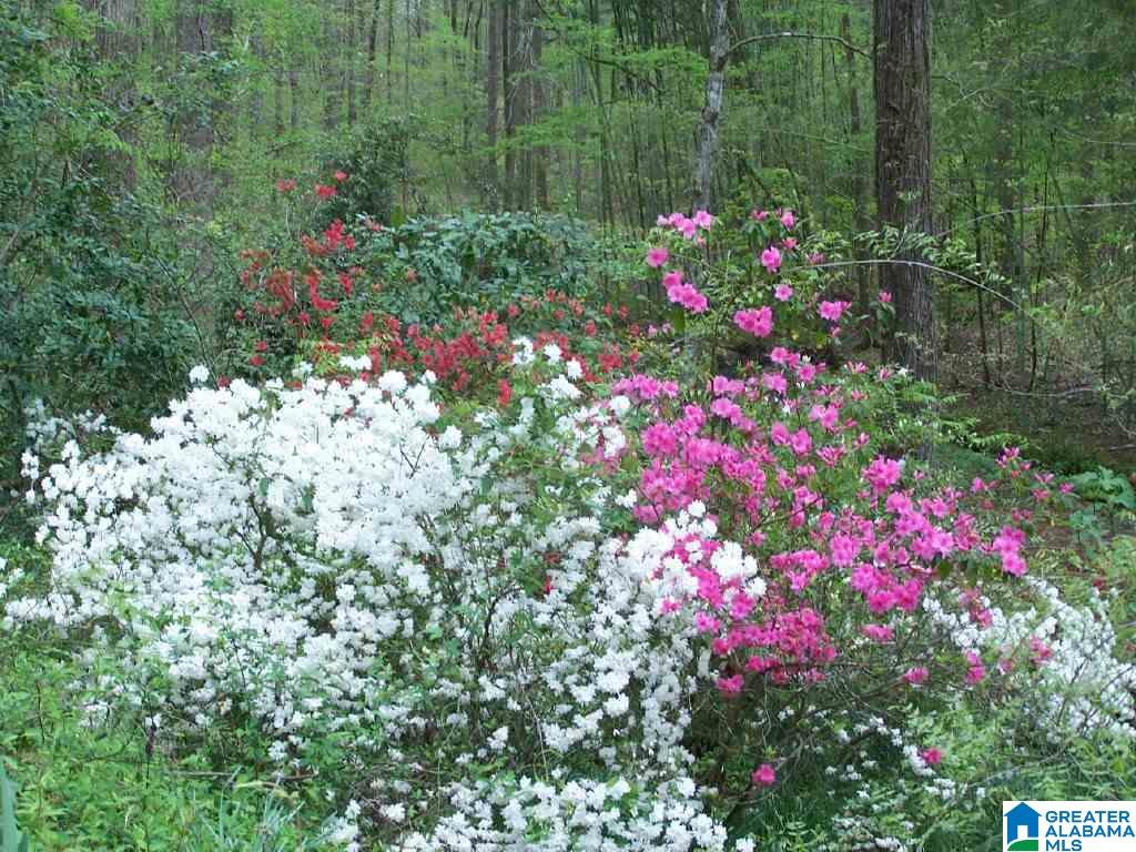8751 Clayton Cove Road Springville, AL 35146 - Photo 36 of 44