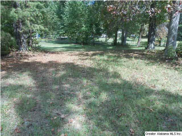 311 Sullivan Lane, Unit 4 5 Springville, AL 35146 - Photo 9 of 17 Gallery Image 9