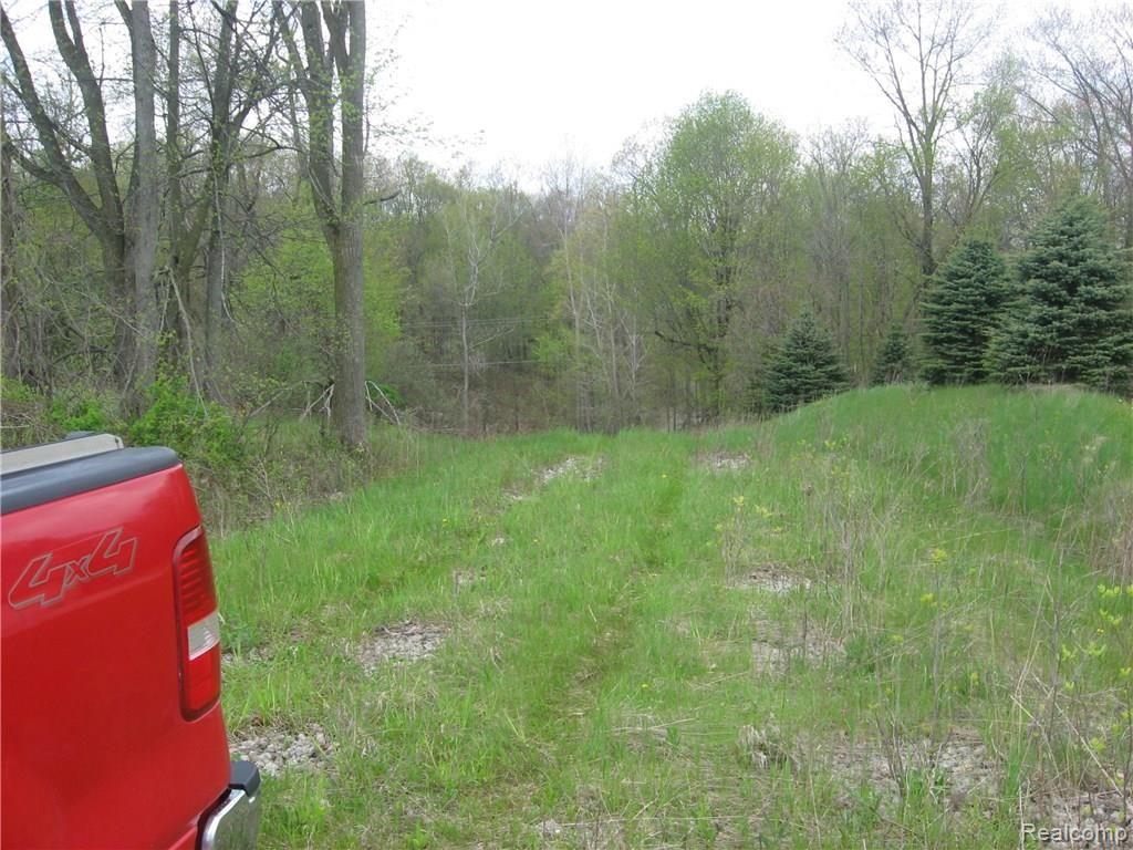 6 East Curtis Road Leonard, MI 48367 - Photo 8 of 10