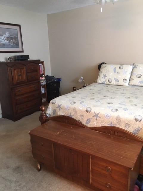 175 Two Hitch Road Goose Creek, SC 29445 - Photo 5 of 12 4