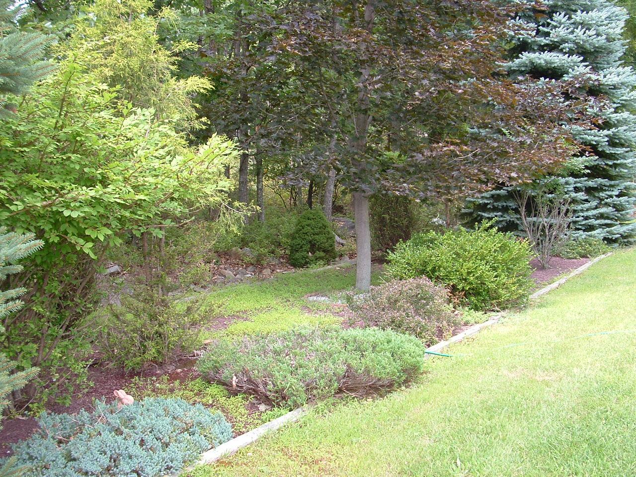 347 Village Road Effort, PA 18330 - Photo 16 of 16 Chinese Garden
