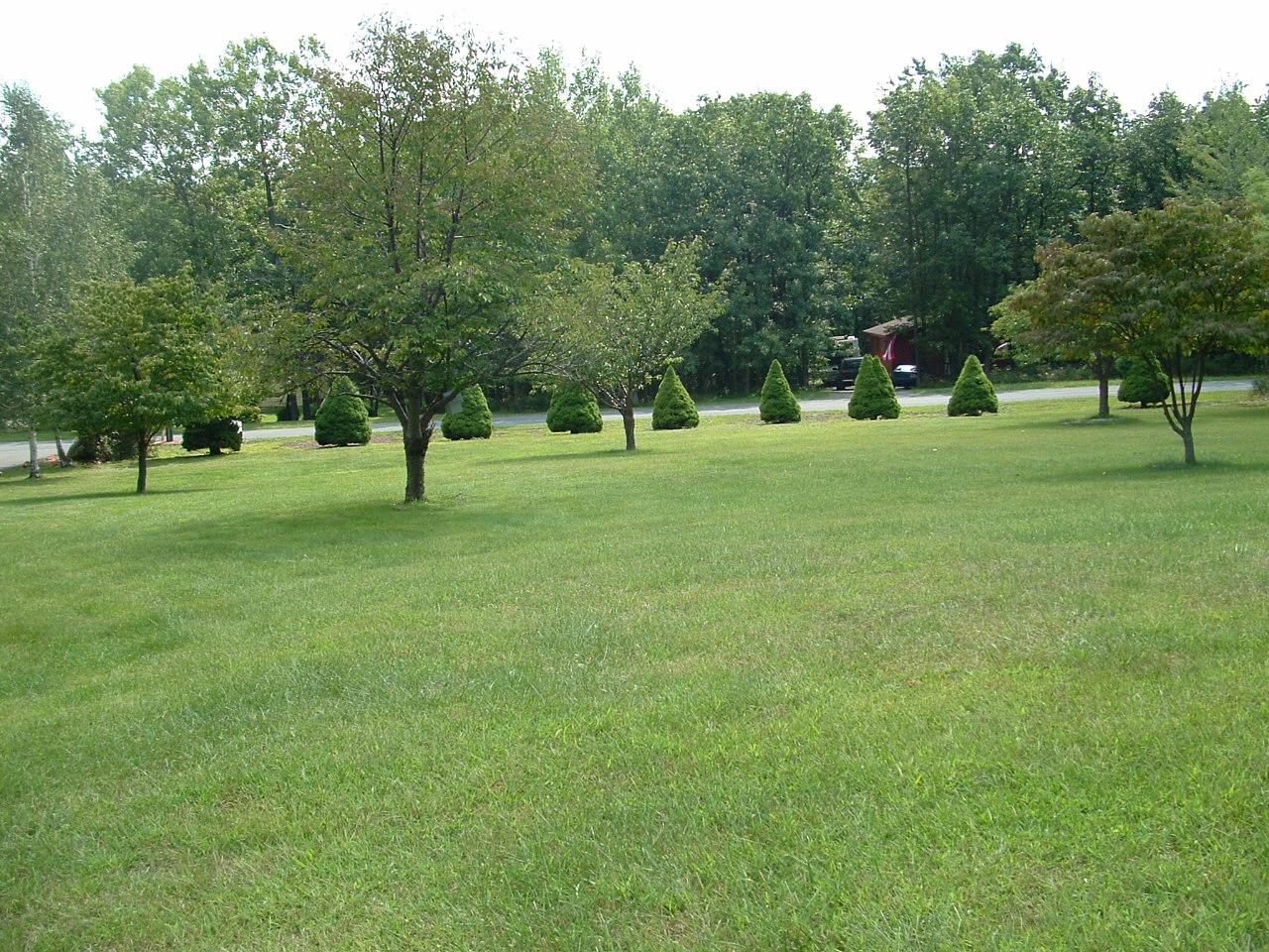 347 Village Road Effort, PA 18330 - Photo 3 of 16 Front Yard