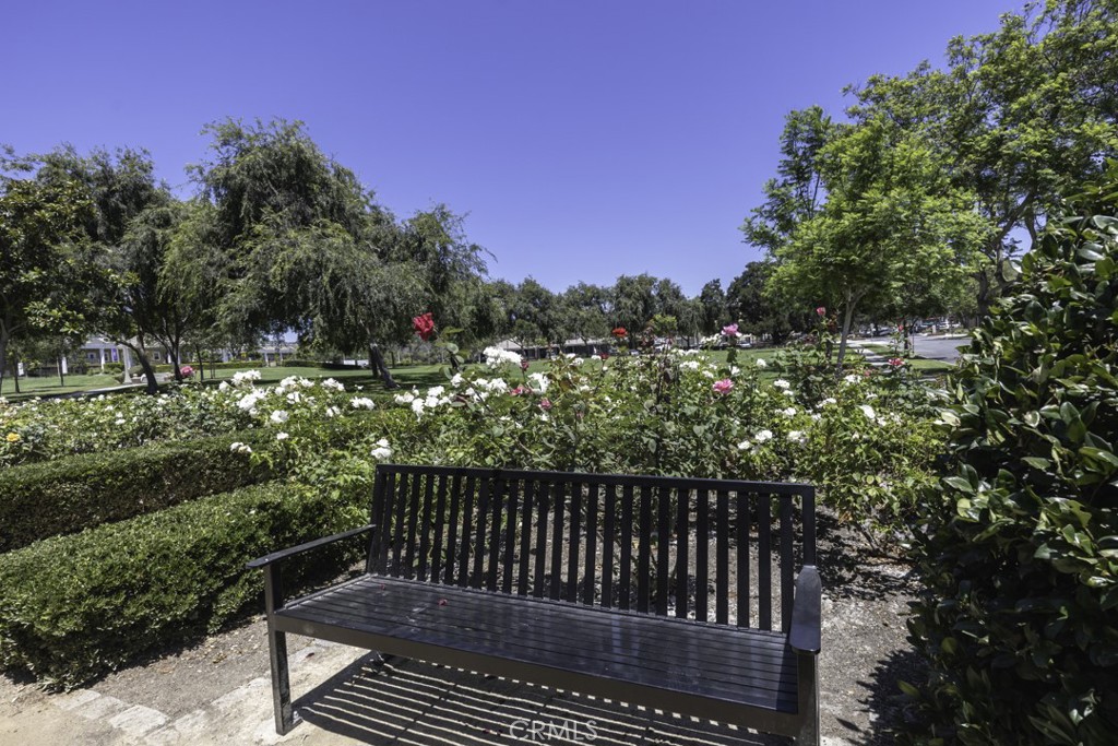80 Three Vines Court Ladera Ranch, CA 92694 - Photo 29 of 29