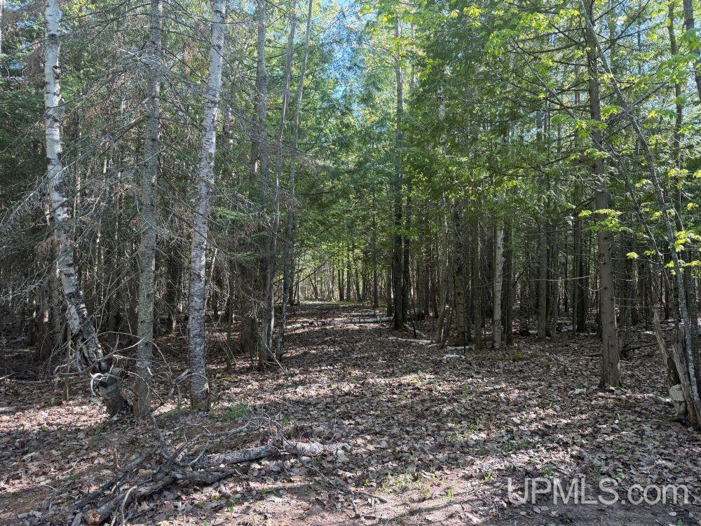 Off County Road KD Road Big Bay, MI 49808 - Photo 12 of 13
