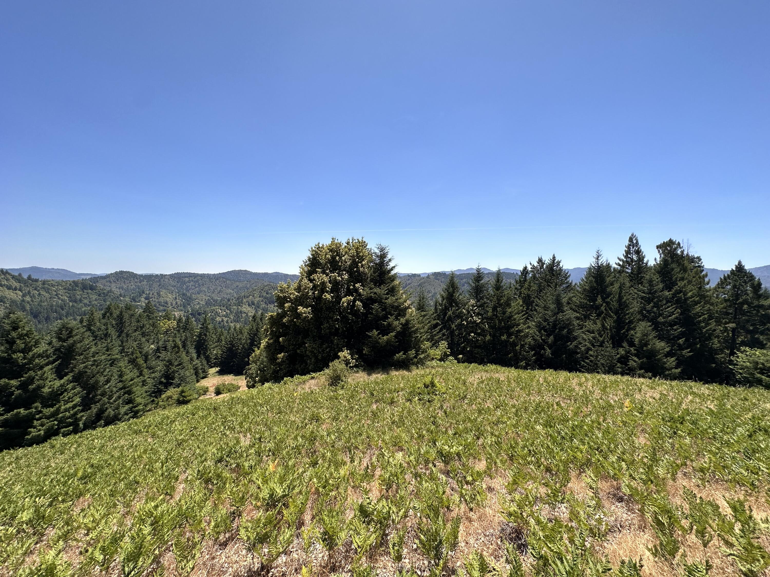 950 Powell Crk Road Garberville, CA 95542 - Photo 24 of 78