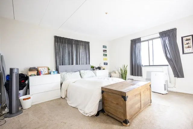 a room with a bed and a potted plant