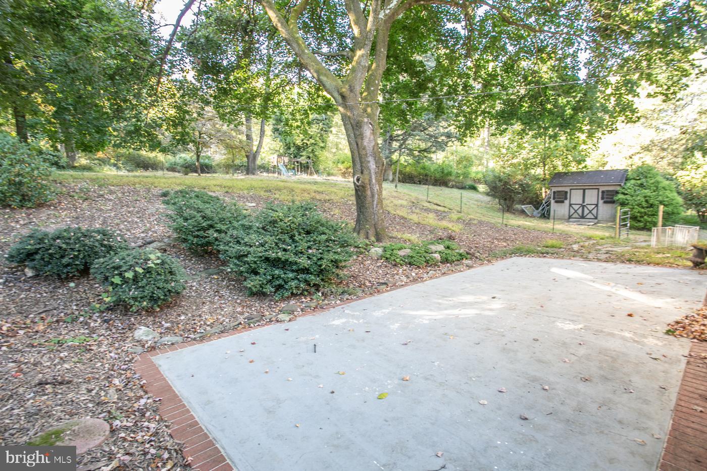 288 Devonshire Road Devon, PA 19333 - Photo 47 of 48 a view of a yard with plants and trees